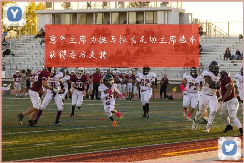 意甲主席力挺马拉戈足协主席选举获得各方支持
