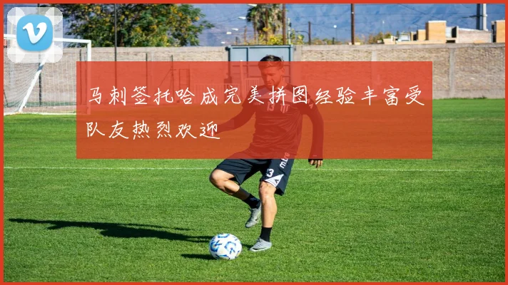 马刺签托哈成完美拼图经验丰富受队友热烈欢迎