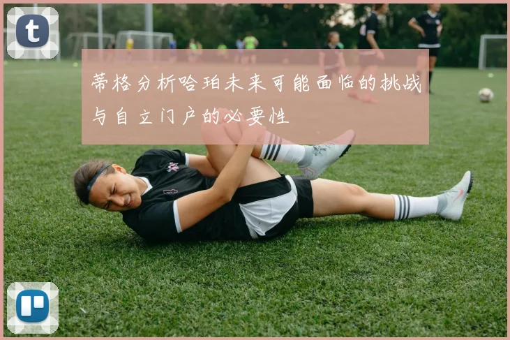 蒂格分析哈珀未来可能面临的挑战与自立门户的必要性